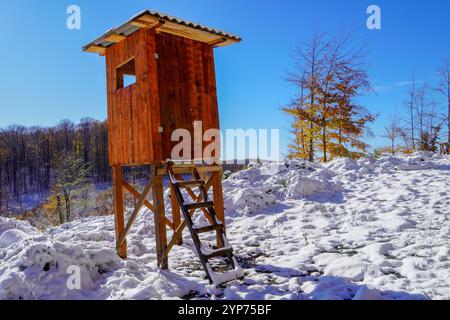 Sitzen für Jäger am Rande des Feldes und Waldes. Eine im Wald versteckte Jägerkanzel, um wilde Tiere zu jagen. Stockfoto