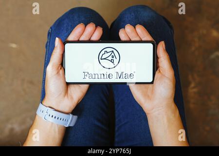In dieser Abbildung wird das Logo der Federal National Mortgage Association (Fannie Mae) auf einem Smartphone-Bildschirm angezeigt Stockfoto