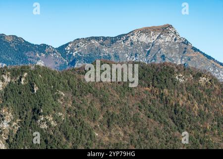 Gipfel von Friaul Julisch Venetien oberhalb von Illegio: Berglandschaft mit Winterfarben und klarem Himmel, Atmosphäre des Friedens und der Ruhe. Stockfoto