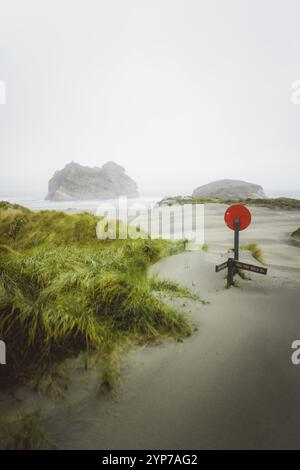 Neblige Küstenlandschaft mit einem roten Schild und grasbewachsenen Dünen, Whakariki Beach, Neuseeland, Ozeanien Stockfoto