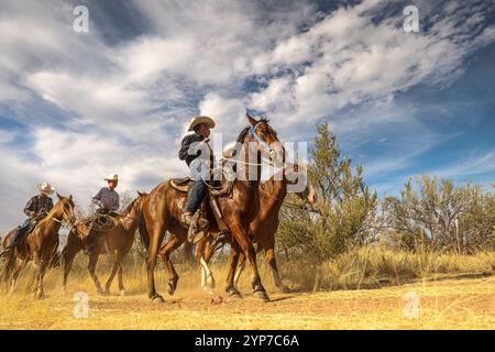 Cowboys auf dem Cristo Rey Ausritt zur Stadt La Puerta del Sol in URES, Sonora, Mexiko... Foto: Luis Gutierrez / NorthPhoto). Vaqueros en la Cabalgata al Cristo Rey al Pueblo La Puerta del Sol en URES Sonora Mexico... Foto: Luis Gutierrez / NorthPhoto) Stockfoto