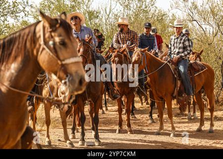 Cowboys auf dem Cristo Rey Ausritt zur Stadt La Puerta del Sol in URES, Sonora, Mexiko... Foto: Luis Gutierrez / NorthPhoto). Vaqueros en la Cabalgata al Cristo Rey al Pueblo La Puerta del Sol en URES Sonora Mexico... Foto: Luis Gutierrez / NorthPhoto) Stockfoto