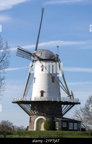 Windmühle De Koe, Veere, Zeeland, Niederlande Stockfoto