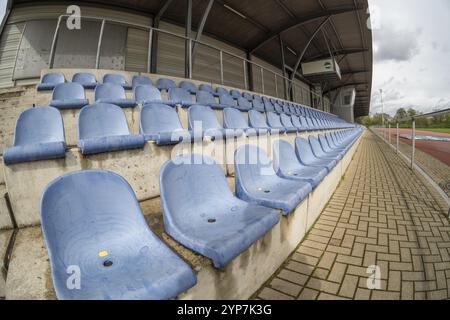 Blaue Sitze in einem Sportstadion Stockfoto