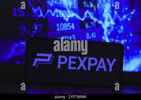 In dieser Abbildung wird das Pexpay-Logo auf einem Smartphone angezeigt Stockfoto