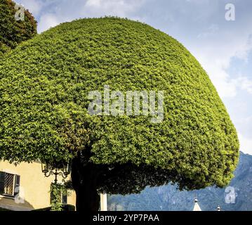 LENNO, ITALIEN, Juni 04, 2019: Außenbereich der Villa del Balbianello, am Comer See, Juni 04, 2019, in Lenno, Italien Stockfoto