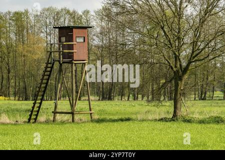 Hochstand für Jäger auf der Wiese Stockfoto