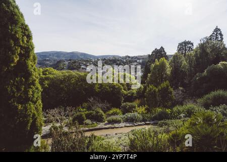 Ein weitläufiges Panorama von üppigen Wäldern und sanften Hügeln unter sonnigem Himmel, Dunedin, Neuseeland, Ozeanien Stockfoto