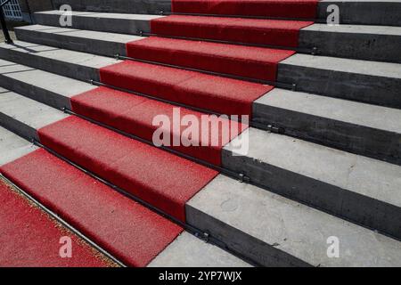Roter Teppich auf den Stufen zum Schlosseingang Stockfoto