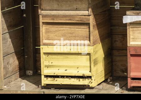 Bienenstock mit fliegenden Bienen in der Sonne Stockfoto