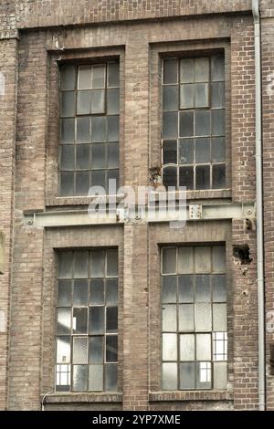 Details eines alten Industriegebäudes, Backsteinmauer und Fenster, ca. 100 Jahre alt Stockfoto