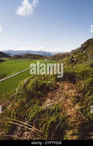 Ein schmaler Feldweg schlängelt sich durch grüne Wiesen, umgeben von Hügeln, Wanaka, Neuseeland, Ozeanien Stockfoto