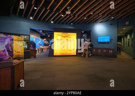 Der Eingang, um riesige Unterwasser-Lebewesen zu sehen. In der Monsters of the Deep Sektion des Vancouver Aquariums in British Columbia, Kanada. Stockfoto