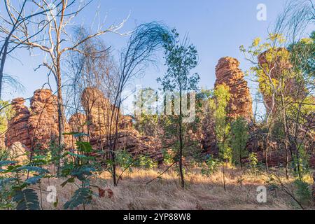 Die seltsame und wunderschöne Southern Lost City, die sich im Limmen-Nationalpark des australischen Northern Territory am Golf o erhebt Stockfoto