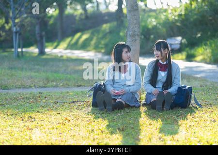 Highschool-Schüler, die im Park studieren Stockfoto
