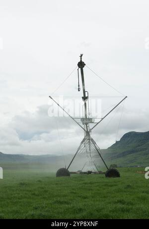 Landwirtschaft, Bewässerungsgeräte auf grünem Feld auf gewerblichem Bauernhof, KwaZulu-Natal, Südafrika, Wasserwirtschaft für Präzisionslandwirtschaft, Sprinkler Stockfoto