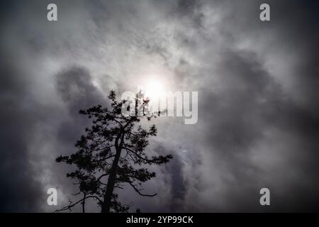 Blick auf das Tal der Nonnen auf der Insel Madeira (Portugal) Stockfoto