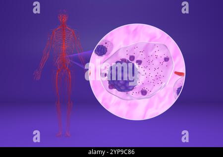 Multiple myeloma (MM) cells in the blood flow - isometric view 3d illustration Stock Photo