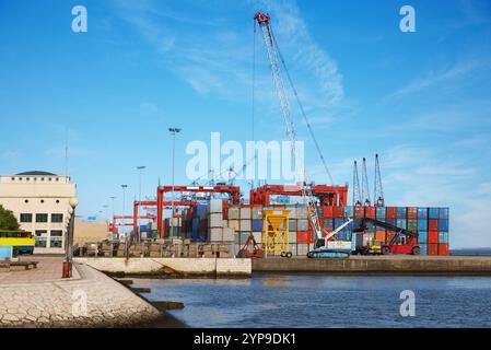 Der Gabelstapler hebt und bewegt einen großen Frachtcontainer an einem belebten Industriehafen Stockfoto