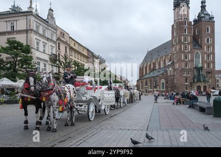 Krakau, Polen - 1. September 2023: Traditionelle Pferdekutschen mit dekorierten Pferden warten auf Touristen vor der Basilika St. Marys in der Main Marke Stockfoto