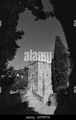 Monochromer Blick auf einen historischen Wachturm in der Alhambra von Granada, umgeben von Grün und reicher Geschichte Stockfoto