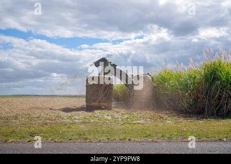 Zuckerrohrernte, Traktorerntemaschinen, landwirtschaftliche Landwirtschaft Landwirtschaft, Feldfrüchte, ländliche Lebensweise, Arbeitswirtschaft Stockfoto