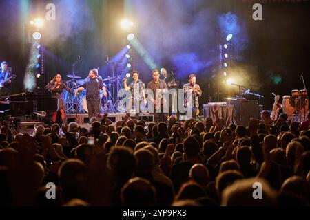 Lincoln, Großbritannien. November 2024. Quelle: Phil Crow/Alamy Live News Stockfoto