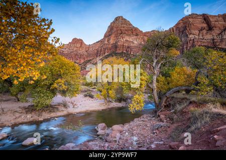 Leuchtende Herbstfarben umhüllen die Ufer des Virgin River, der sanft durch Springdale, Utah fließt. Stockfoto