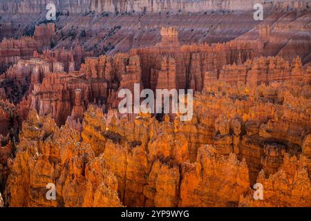 Faszinierender Blick auf Hoodoo-Felsformationen im Bryce Canyon National Park, Utah, während Sonnenuntergang. Stockfoto