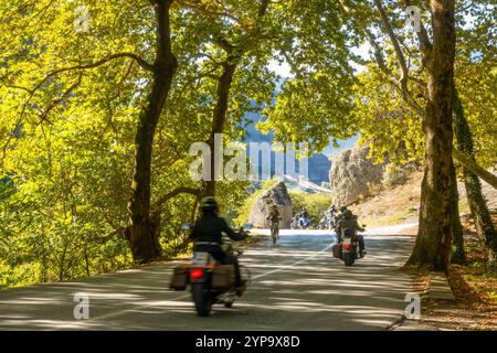 Nordgriechenland. Sonniger Sommertag im Schatten der Bäume. Gruppe von Motorradfahrern und Radfahrern auf einer kurvenreichen Bergstraße Stockfoto