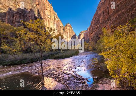 Erkunden Sie die atemberaubende Landschaft des Zion-Nationalparks mit dem Virgin River, der durch malerische Slot Canyons und lebhaftes Herbstlaub fließt. Stockfoto