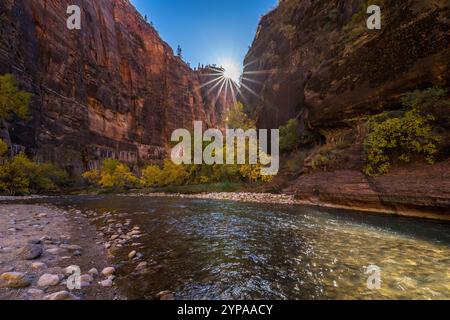 Erkunden Sie die atemberaubende Landschaft des Zion-Nationalparks mit dem Virgin River, der durch malerische Slot Canyons und lebhaftes Herbstlaub fließt. Stockfoto