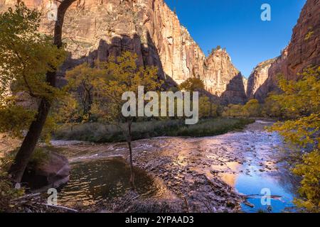 Erkunden Sie die atemberaubende Landschaft des Zion-Nationalparks mit dem Virgin River, der durch malerische Slot Canyons und lebhaftes Herbstlaub fließt. Stockfoto
