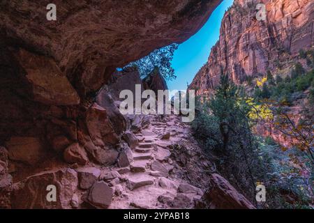 Entdecken Sie die ruhige Schönheit des Emerald Pools Trail inmitten atemberaubender Sandsteinklippen und lebhaftem Grün im Zion National Park. Stockfoto