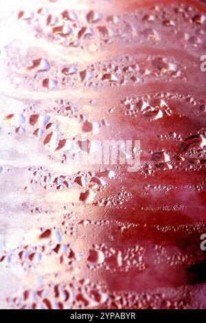 Deilcate Regentropfen Wasser auf Glas in einem rosa Glow für Hintergrund Stockfoto