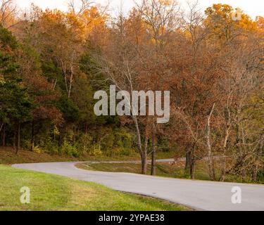Kurvige Straße durch den Park im Herbst Stockfoto