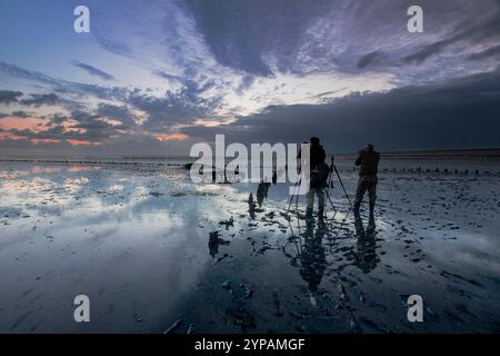 Naturfotografen bei Ebbe auf dem Wattenmeer am frühen Morgen, Niederlande, Frisia, Wierumerwad, Wierum Stockfoto