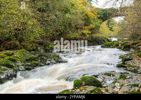 Grotto Bridge über den Fluss Almond in der Nähe von Cramond, Edinburgh Stockfoto