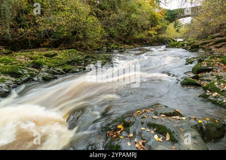 Grotto Bridge über den Fluss Almond in der Nähe von Cramond, Edinburgh Stockfoto