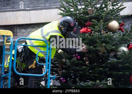 London, Großbritannien. November 2024. Im Bild: Arbeiter schmücken den Weihnachtsbaum in der Downing Street, wie er installiert ist. Quelle: Justin Ng/Alamy Live News. Stockfoto