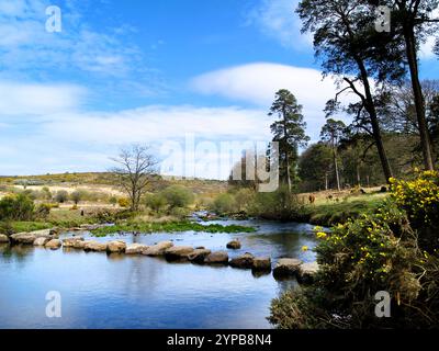 Stepping Stones über den West Dart River im Dartmoor National Park, Devon, Südwestengland. Stockfoto