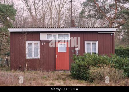 Altes rustikales Ferienhaus mit roter Holzfassade, weiß gerahmten Fenstern und roter Tür, eingebettet in Grün in Neuenhaus, Deutschland, im Winter. Stockfoto
