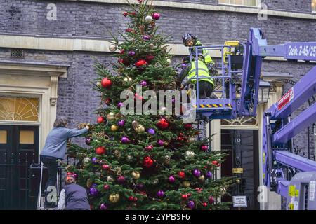 London, Großbritannien. 29. November 2024 Ein Weihnachtsbaum aus Nordman-Tannenholz außerhalb der Downing Street 10 wird von Mitarbeitern von The Tree Barn für die Weihnachtszeit dekoriert. Der Weihnachtsbaum wird von Evergreen Christmas Trees auf der Black House Farm in Knighton bereitgestellt 2024, einem jährlichen Wettbewerb, der seit 1999 von der British Christmas Tree Growers Association (BCTGA) veranstaltet wird. Credit.Amer Ghazzal/Alamy Live News Stockfoto