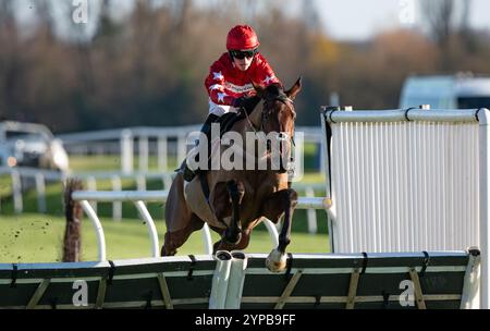 Newbury, Großbritannien. Freitag, 29. November 2024. Regent's Walk und Harry Cobden gewinnen die Play Coral „Racing-Super-Series“ für die kostenlose „National Hunt“ Maiden Hürde für Trainer Paul Nicholls und die Besitzer Ferguson, Mason, Hales, Hogarth und Smith. Credit JTW equine Images / Alamy Live News Stockfoto