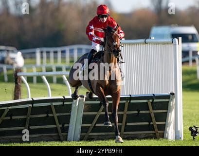 Newbury, Großbritannien. Freitag, 29. November 2024. Regent's Walk und Harry Cobden gewinnen die Play Coral „Racing-Super-Series“ für die kostenlose „National Hunt“ Maiden Hürde für Trainer Paul Nicholls und die Besitzer Ferguson, Mason, Hales, Hogarth und Smith. Credit JTW equine Images / Alamy Live News Stockfoto