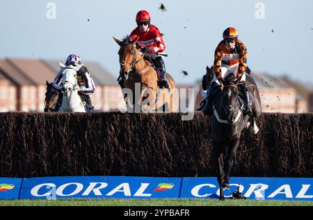 Newbury, Großbritannien. Freitag, 29. November 2024. Kalif du Berlais und Harry Cobden gewinnen den Coral Racing Club Novices Handicap Chase für Trainer Paul Nicholls und Besitzer Ferguson, Mason, Hales & Done. Credit JTW equine Images / Alamy Live News Stockfoto