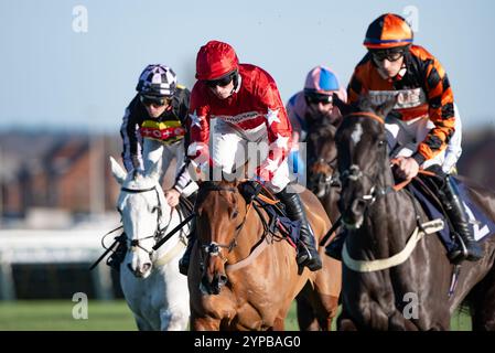 Newbury, Großbritannien. Freitag, 29. November 2024. Kalif du Berlais und Harry Cobden gewinnen den Coral Racing Club Novices Handicap Chase für Trainer Paul Nicholls und Besitzer Ferguson, Mason, Hales & Done. Credit JTW equine Images / Alamy Live News Stockfoto