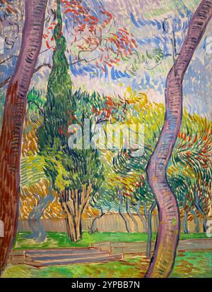 Bäume im Garten des Asylums, Vincent van Gogh, 1889, Stockfoto