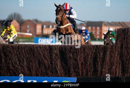 Newbury, Großbritannien. Freitag, 29. November 2024. Der Jukebox-Mann und Ben Jones gewinnen den Coral John Francome (früher bekannt als The Berkshire) Novizen Chase für den Trainer Ben Pauling und den Besitzer Harry Redknapp. Credit JTW equine Images / Alamy Live News Stockfoto