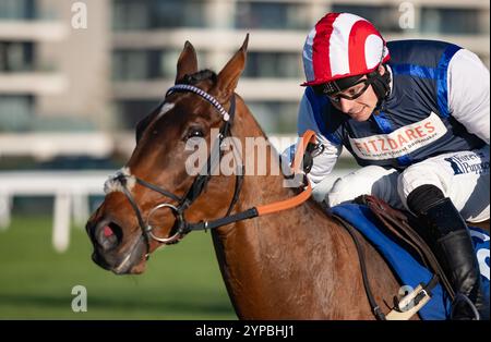 Newbury, Großbritannien. Freitag, 29. November 2024. Der Jukebox-Mann und Ben Jones gewinnen den Coral John Francome (früher bekannt als The Berkshire) Novizen Chase für den Trainer Ben Pauling und den Besitzer Harry Redknapp. Credit JTW equine Images / Alamy Live News Stockfoto